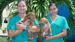 Melissa Pieffer (left) with Lady Gaga, and Stephany DeJesus holding Pat. Melissa Pieffer (left) with Lady Gaga, and Stephany DeJesus holding Pat.